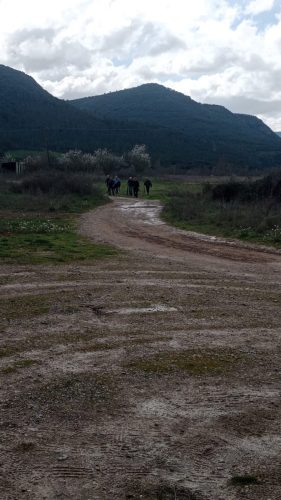 WhatsApp-Image-2026-03-07-at-14.08.59-2